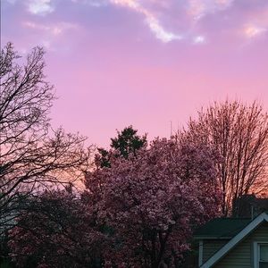 Meet your Posher, Abigail